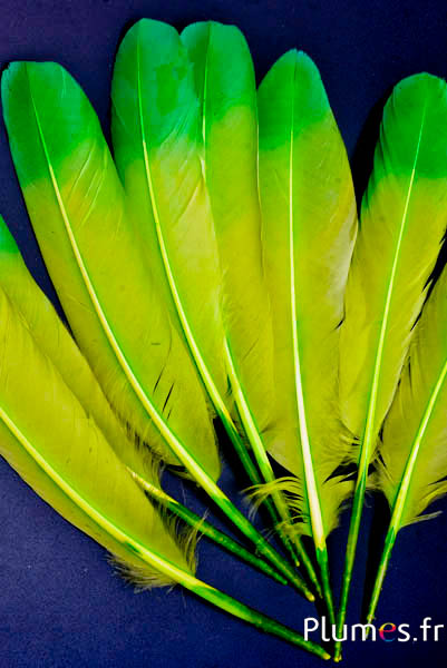 Schwan Seide - 25-30 cm - apfelgrün-grün